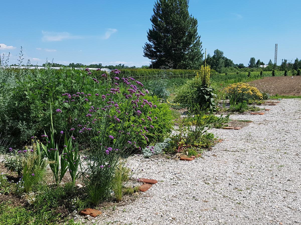 프라다마노 Agriturismo Frascje Dai Spadons 빌라 외부 사진