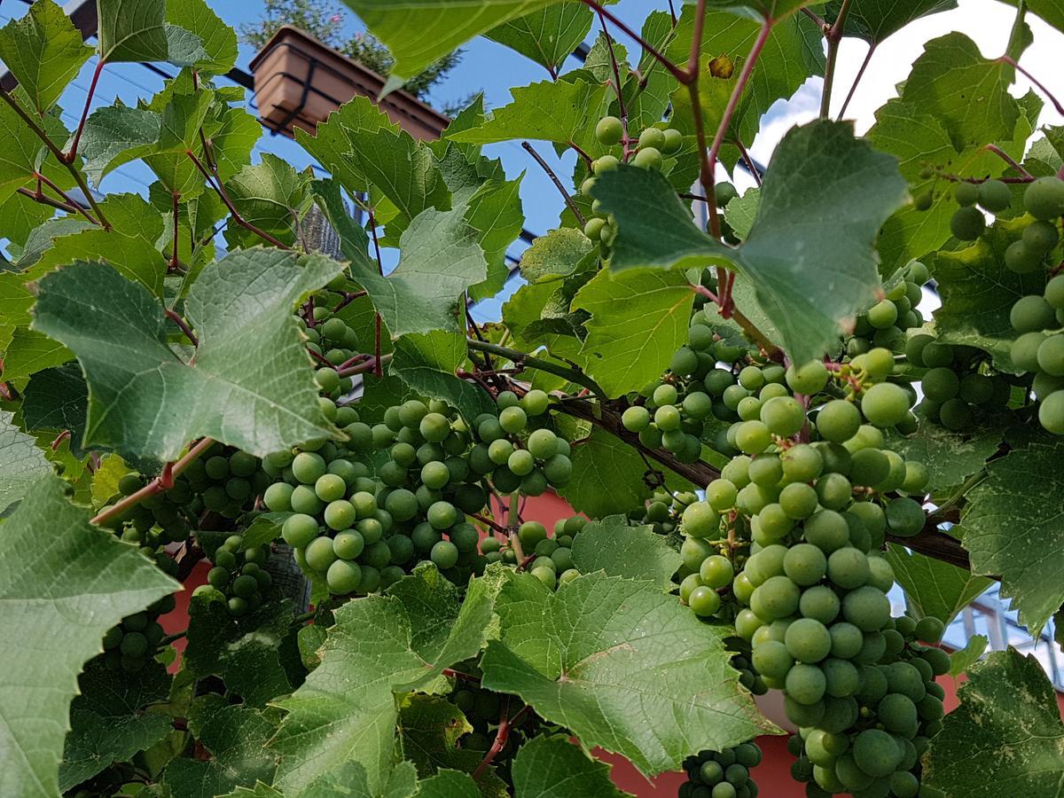 프라다마노 Agriturismo Frascje Dai Spadons 빌라 외부 사진